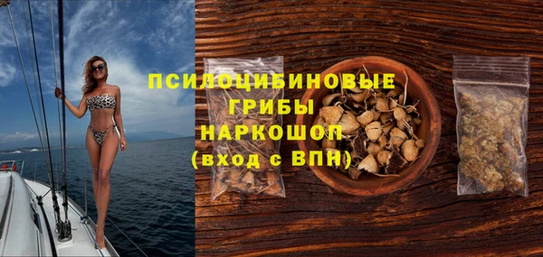 ECSTASY Осинники